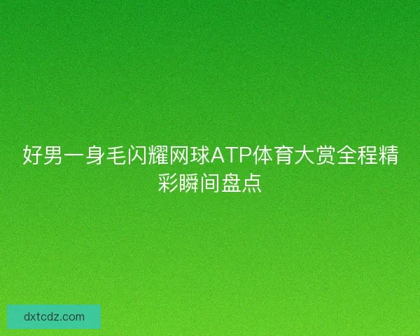 好男一身毛闪耀网球ATP体育大赏全程精彩瞬间盘点