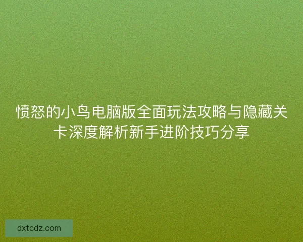 愤怒的小鸟电脑版全面玩法攻略与隐藏关卡深度解析新手进阶技巧分享